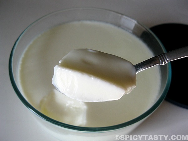 yogurt