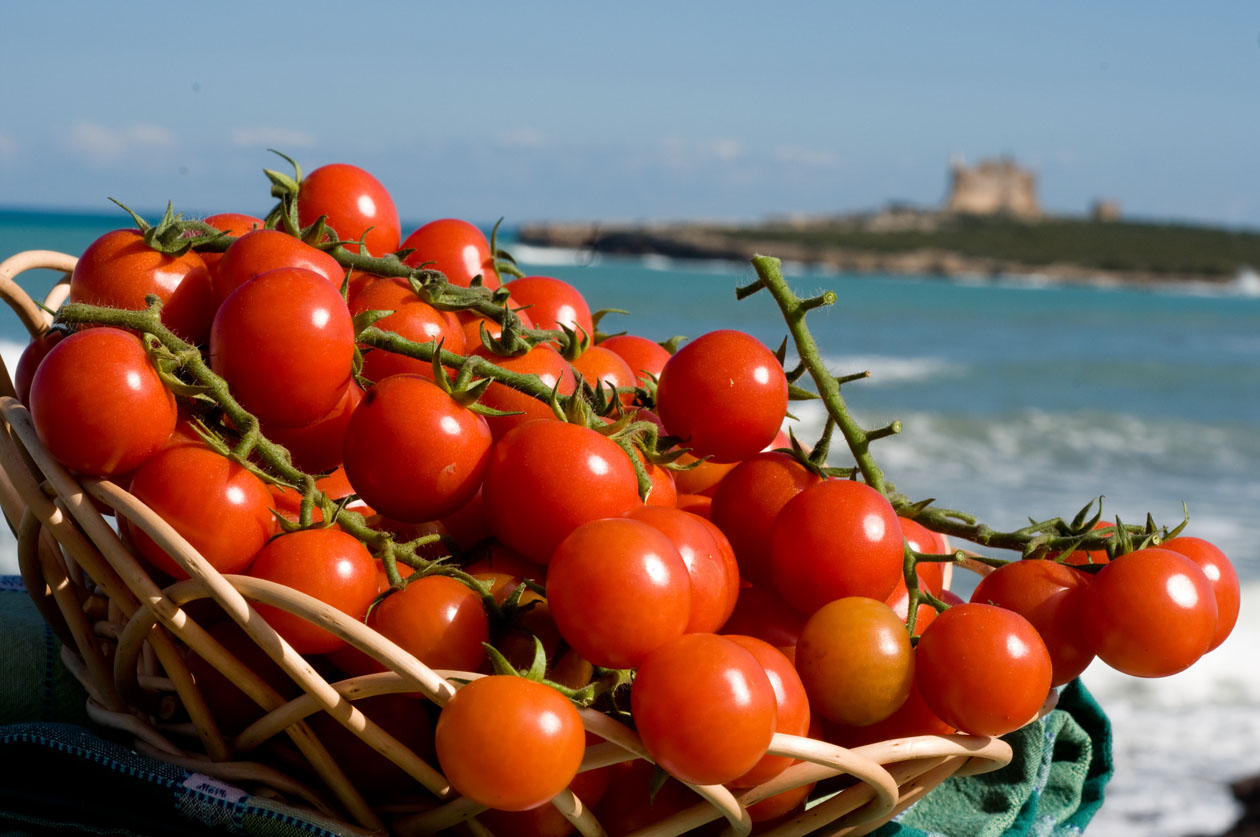 Miglior pomodoro per bruschetta