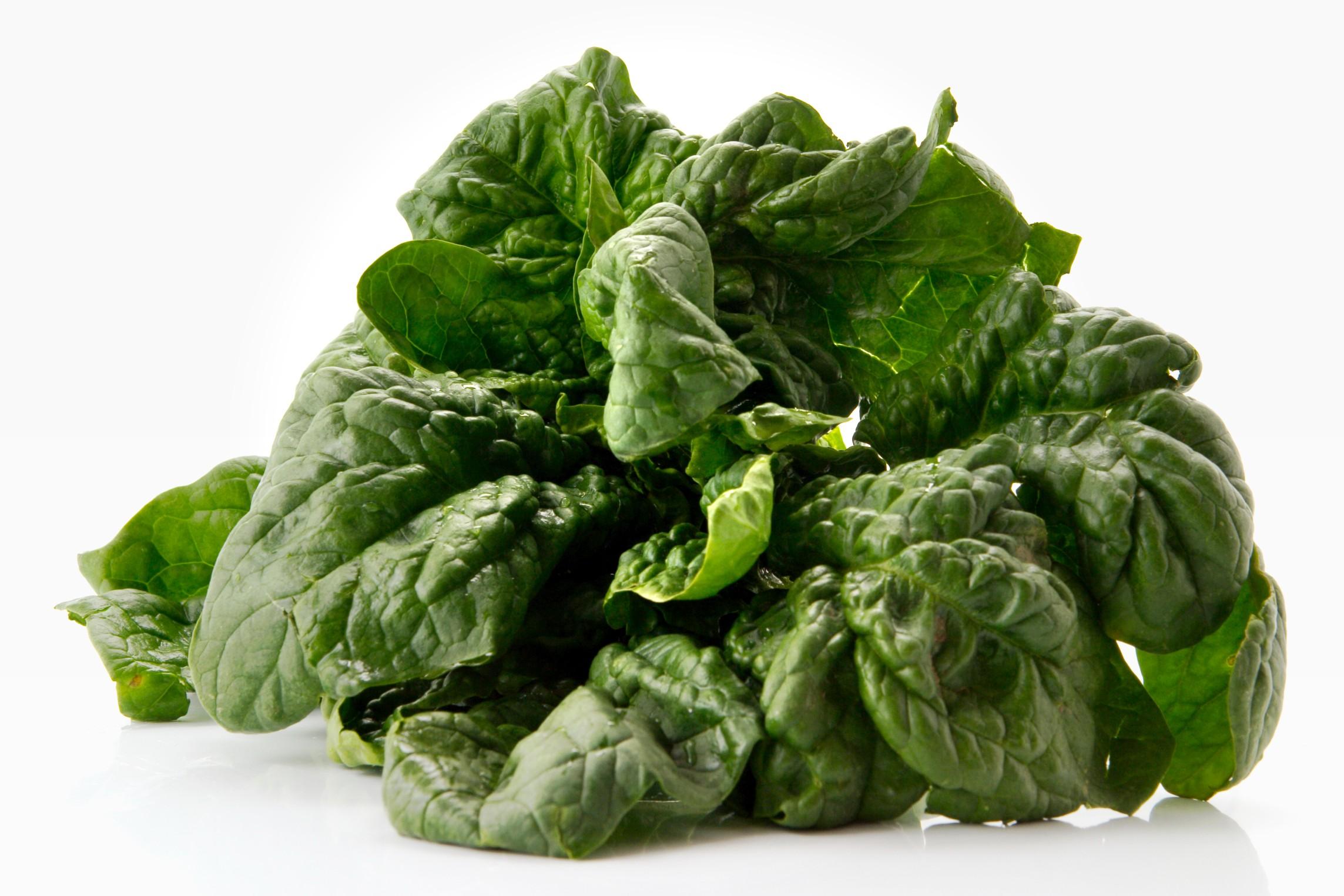 10 ricette vegetariane con gli spinaci