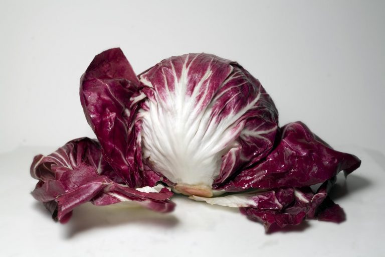 10 ricette vegetariane con il radicchio