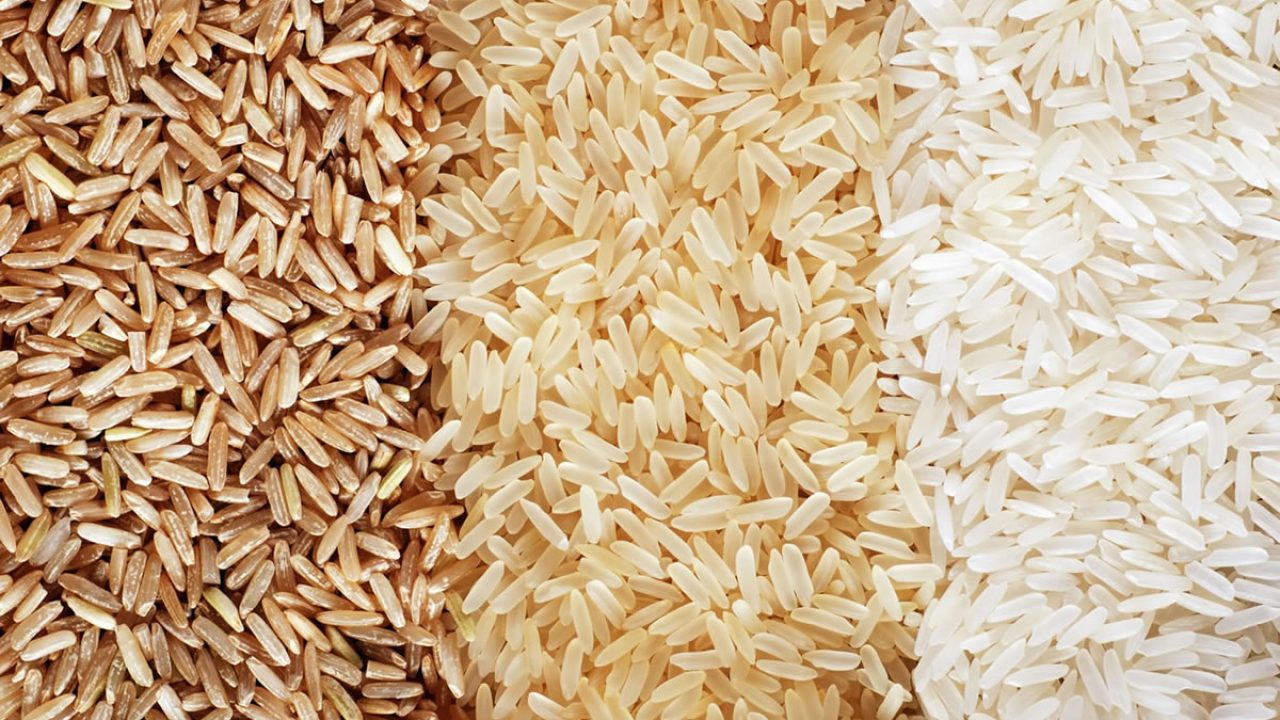 Qual è porzione giusta di riso Food