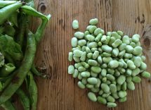 Crema di fave con scarola