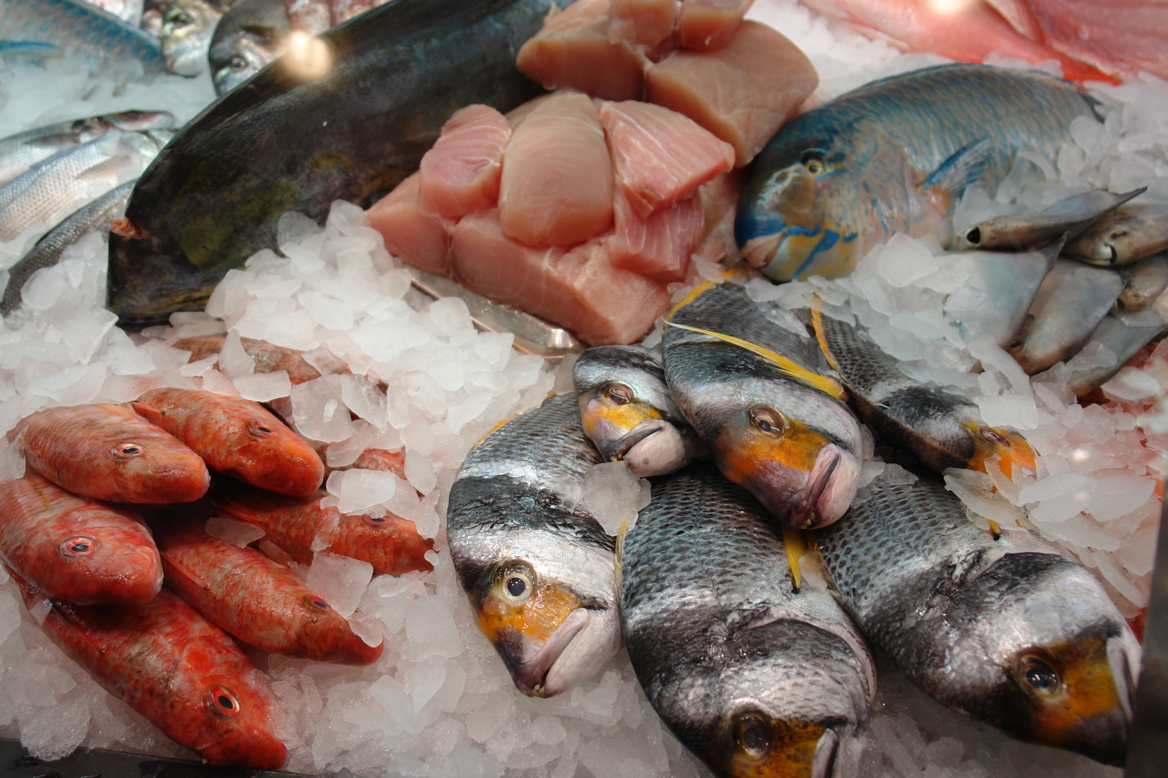 Pesce congelato quanto dura