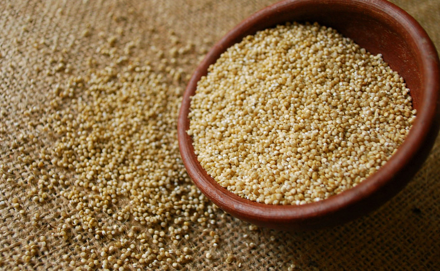 quinoa 1