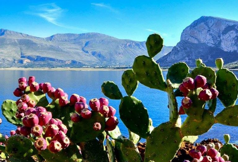 Le migliori sagre di Ottobre in Sicilia