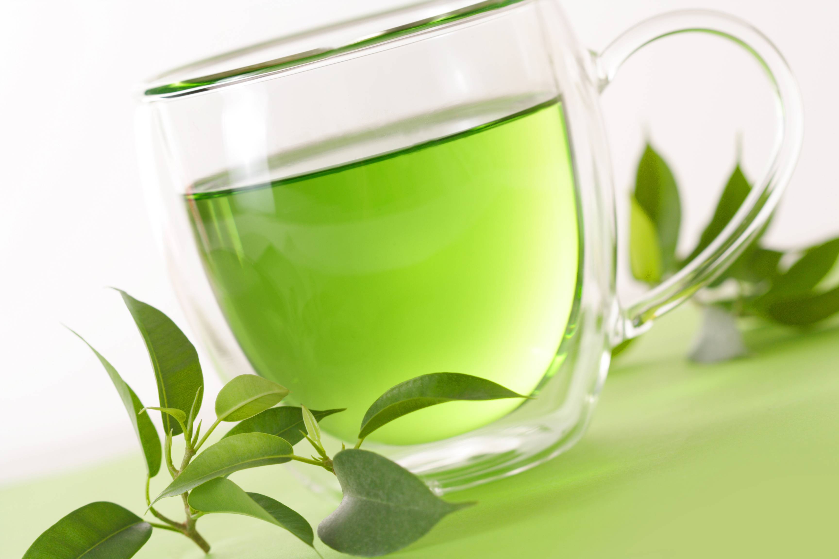 tè verde in gravidanza