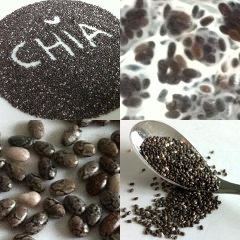 chia seeds good 1