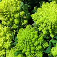 romanesco broccoflower 1