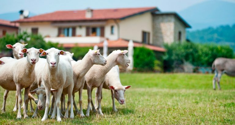 agriturismo franciacorta per bambini-top5