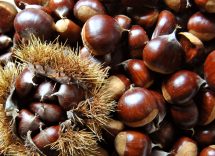 castagne al microonde