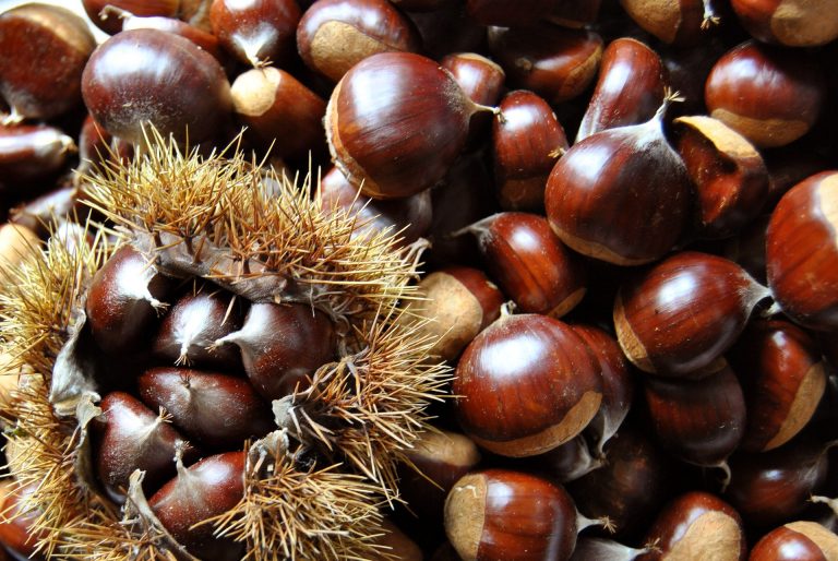 castagne al microonde