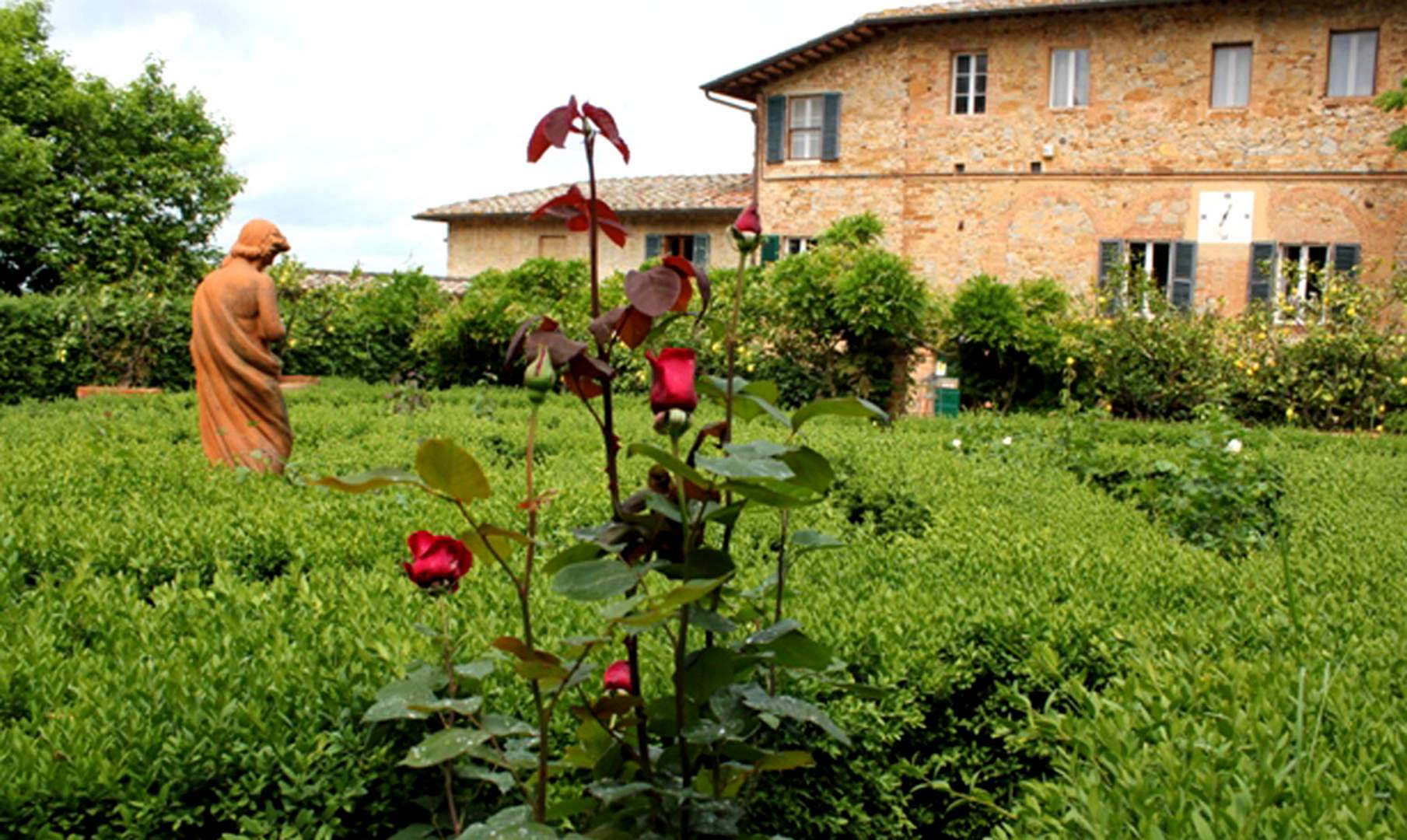 fattoria del colle