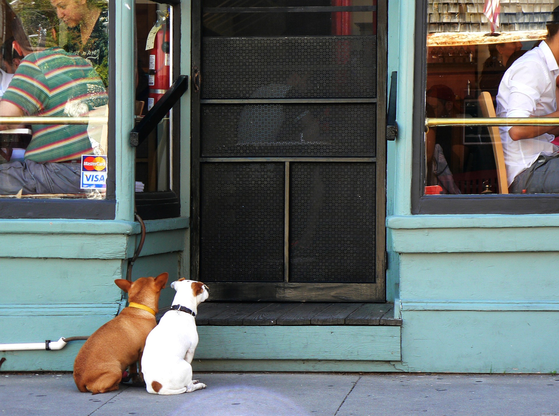 ristoranti per cani