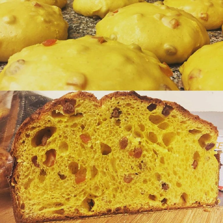 panettone