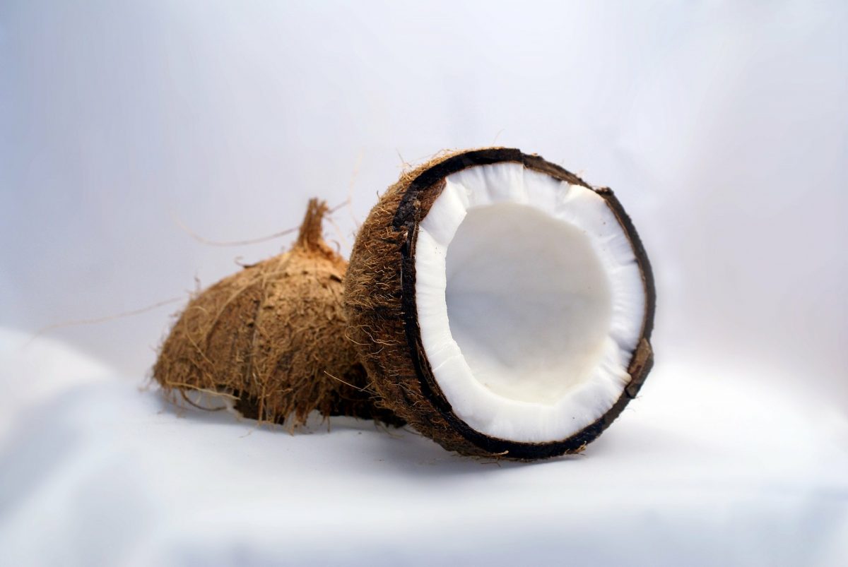 Cocco