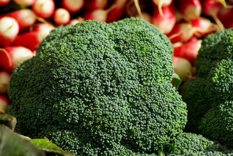 broccoli gratinati bimby