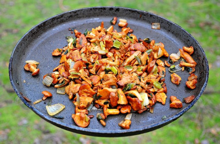 funghi porcini in padella