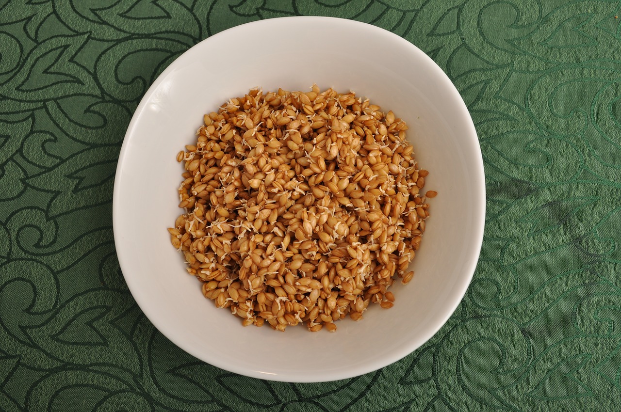 Insalata di farro con filetti di sgombro e verdure