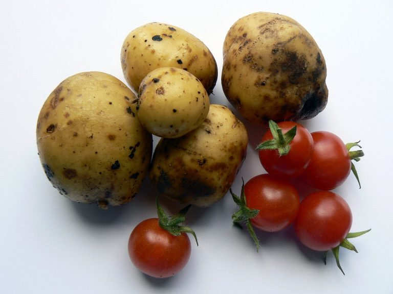 patate al forno pomodorini