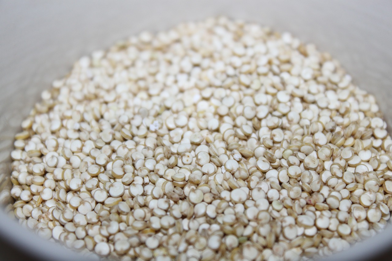 quinoa con funghi porcini