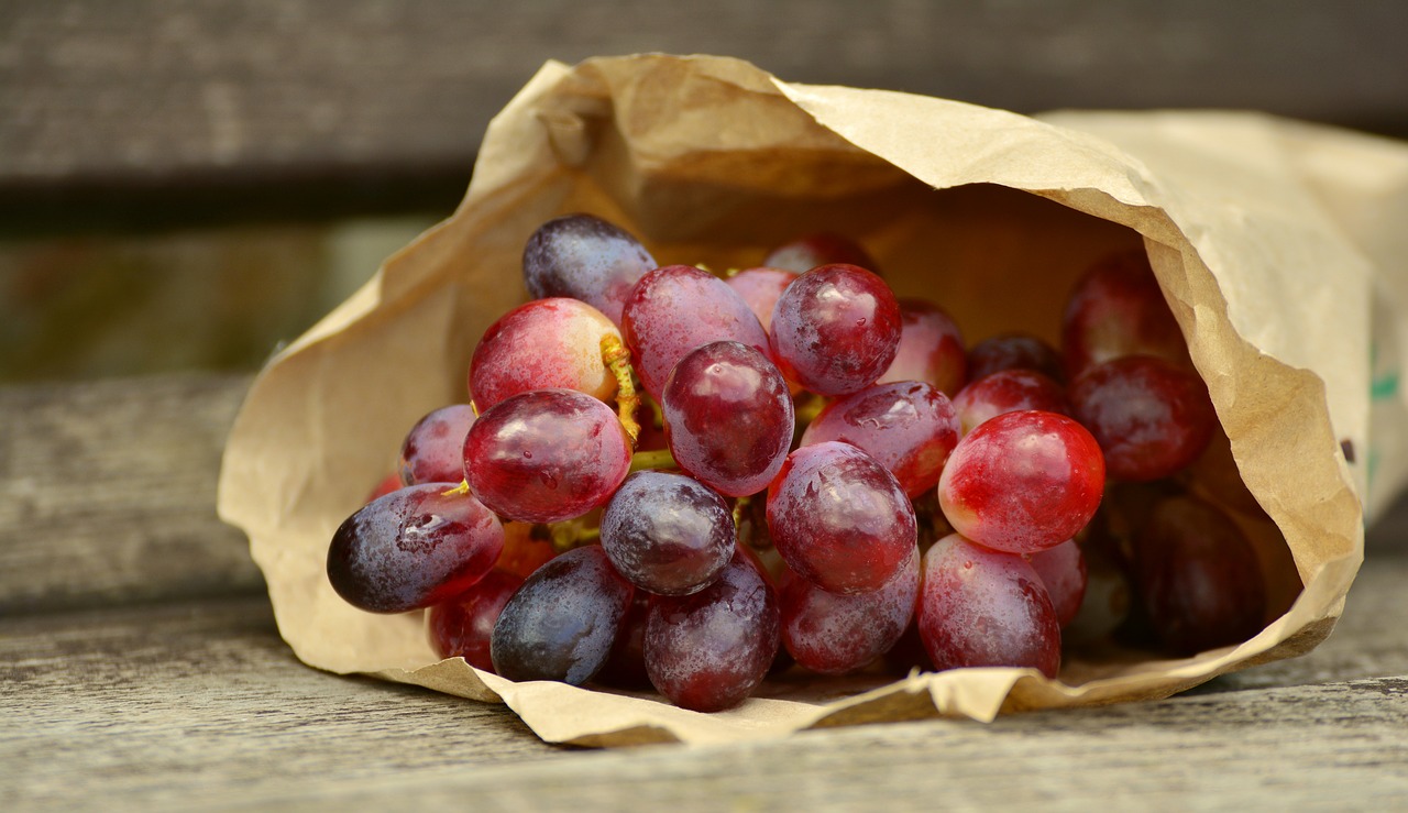 dieta dell'uva