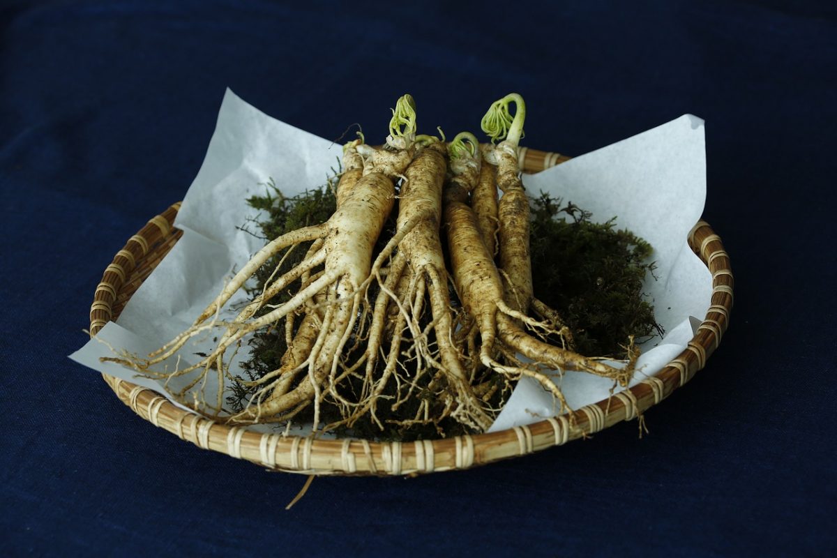 gingseng