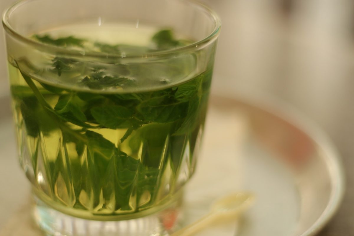 tisana menta