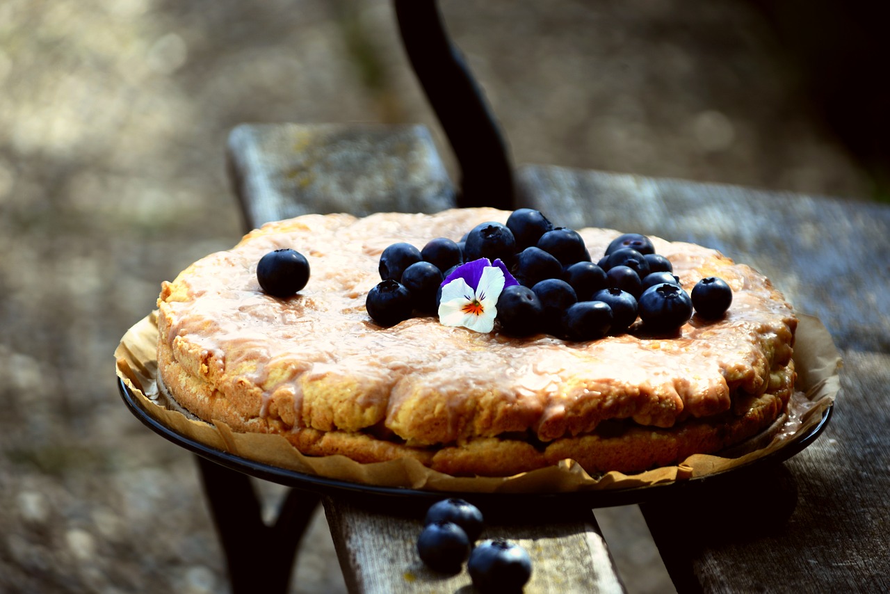 Torta ai mirtilli senza burro e uova