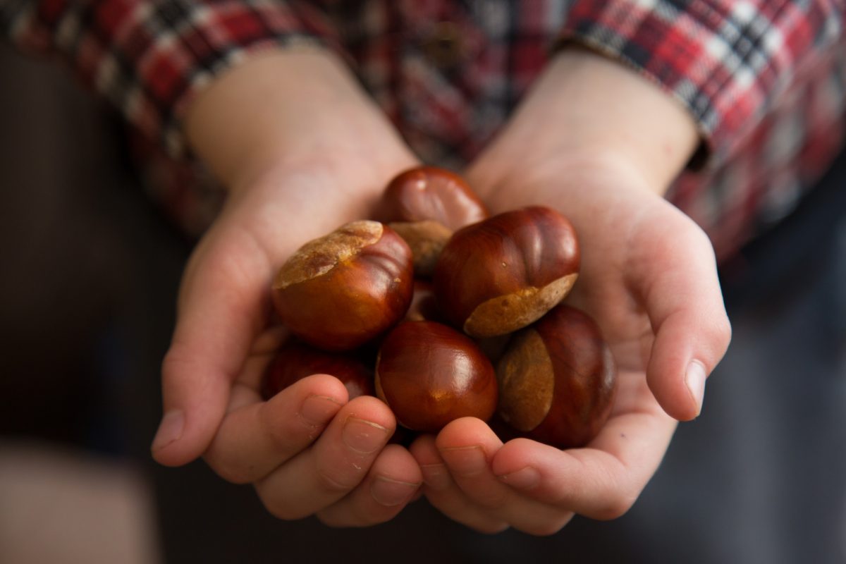 Castagne