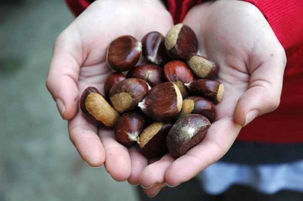 castagne al forno