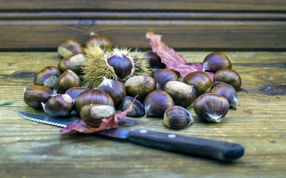 castagne per dieta