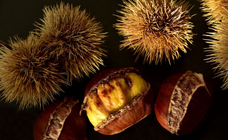 Castagne al vapore sottovuoto