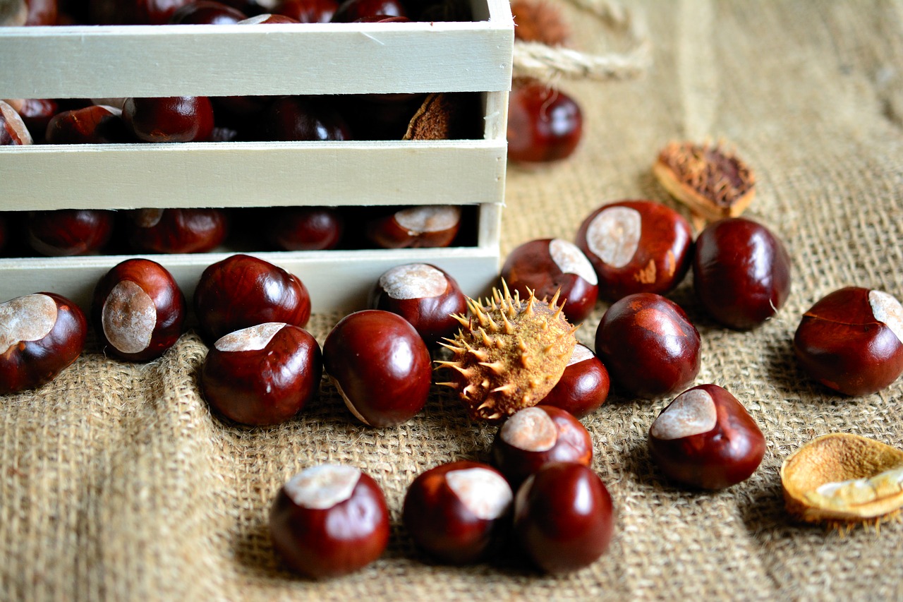 Castagne cotte a microonde proprietà