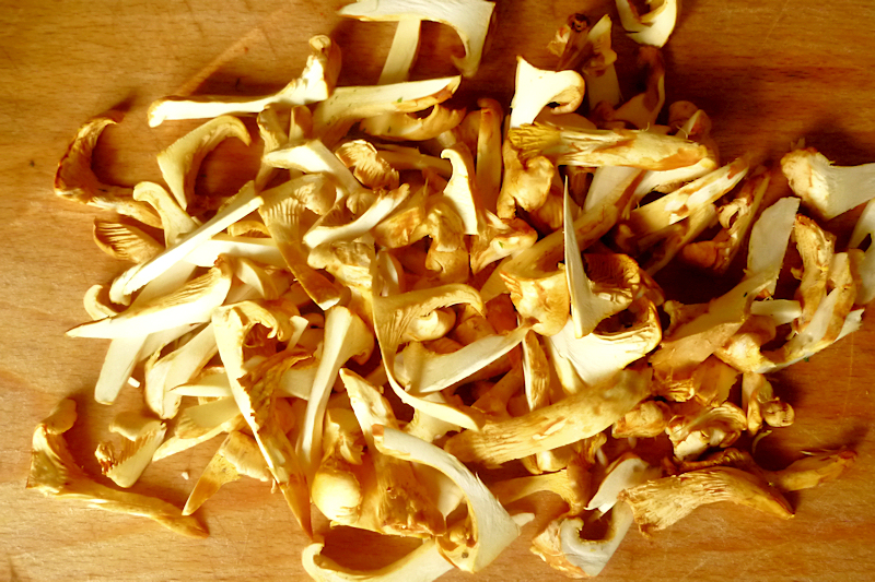 funghi galletti