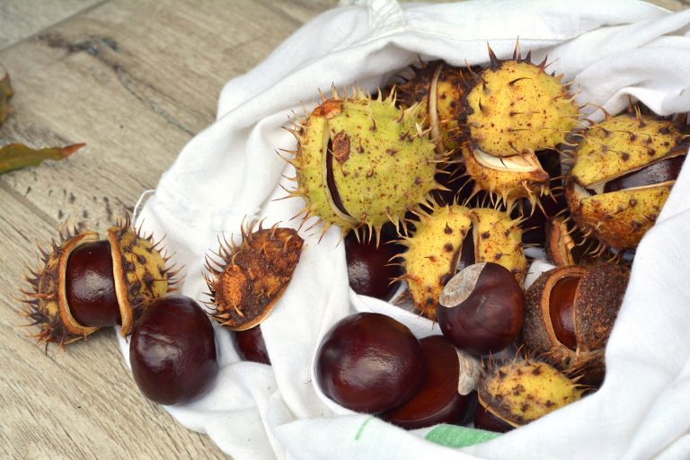 Minestra di castagne secche