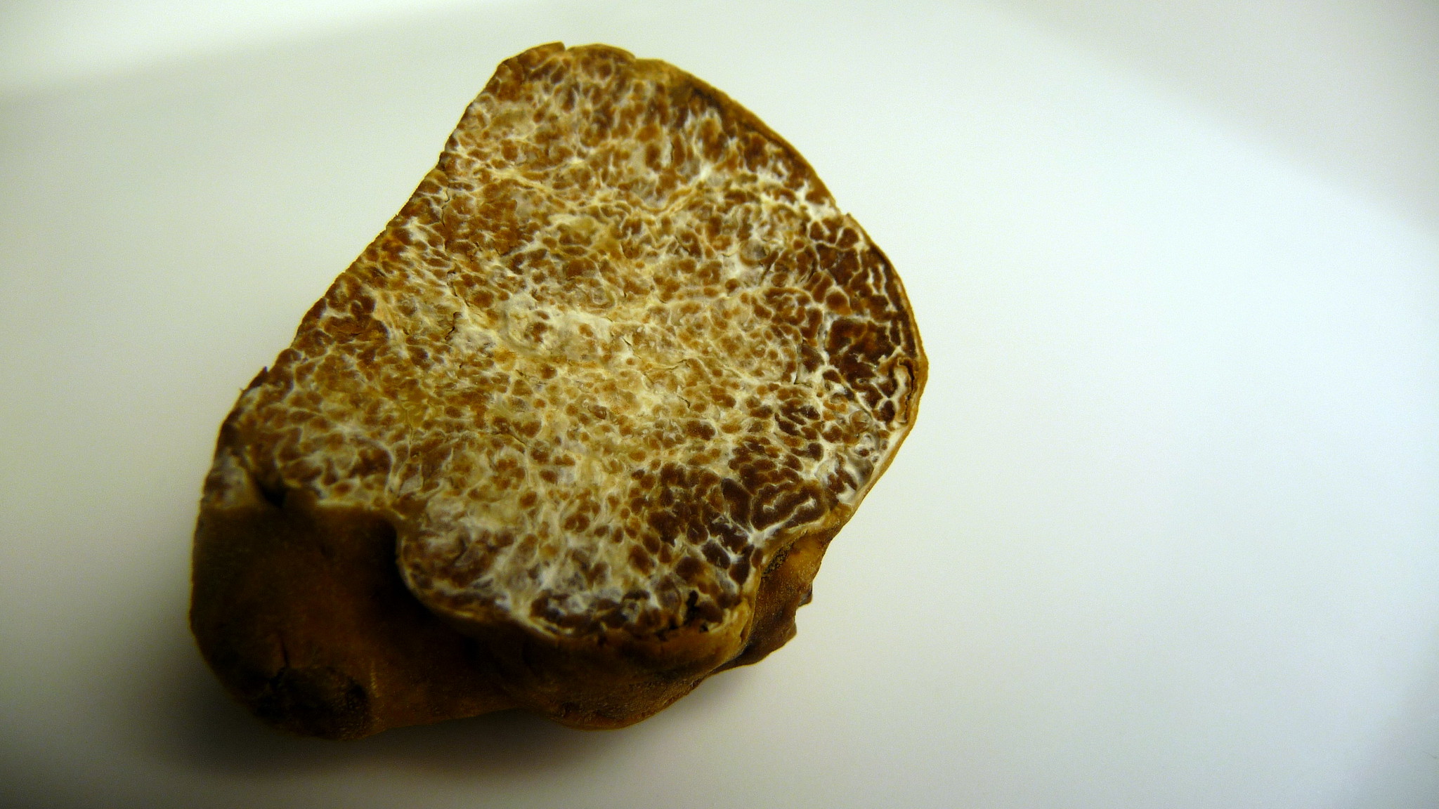 ricette al tartufo bianchetto