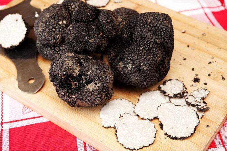 ricette al tartufo scorzone