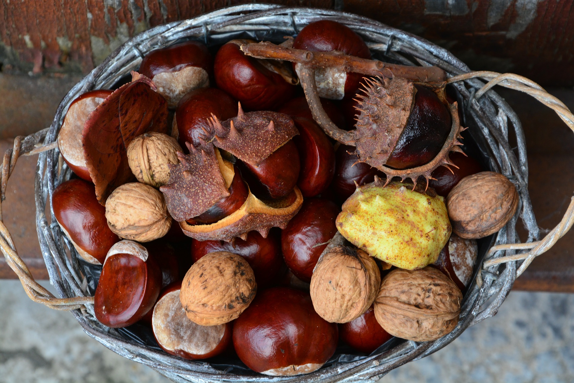 Ricette con castagne lesse salate