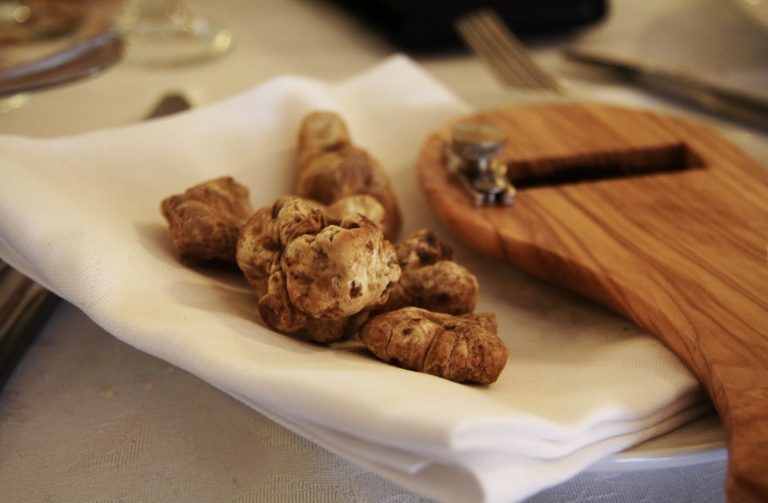 Tartufo bianco di Alba o Acqualagna