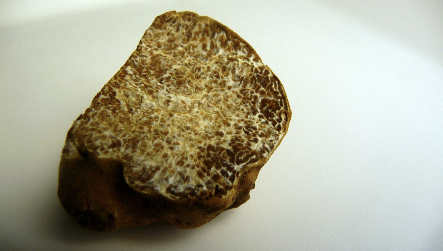 Tartufo bianco di Alba o Acqualagna