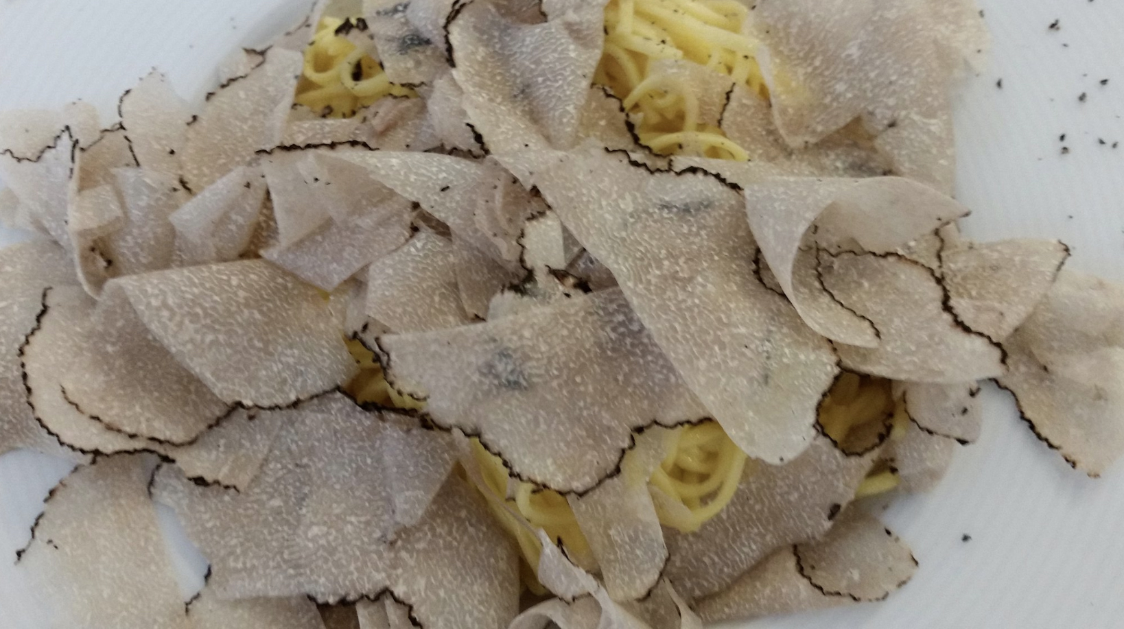 tagliatelle tartufo