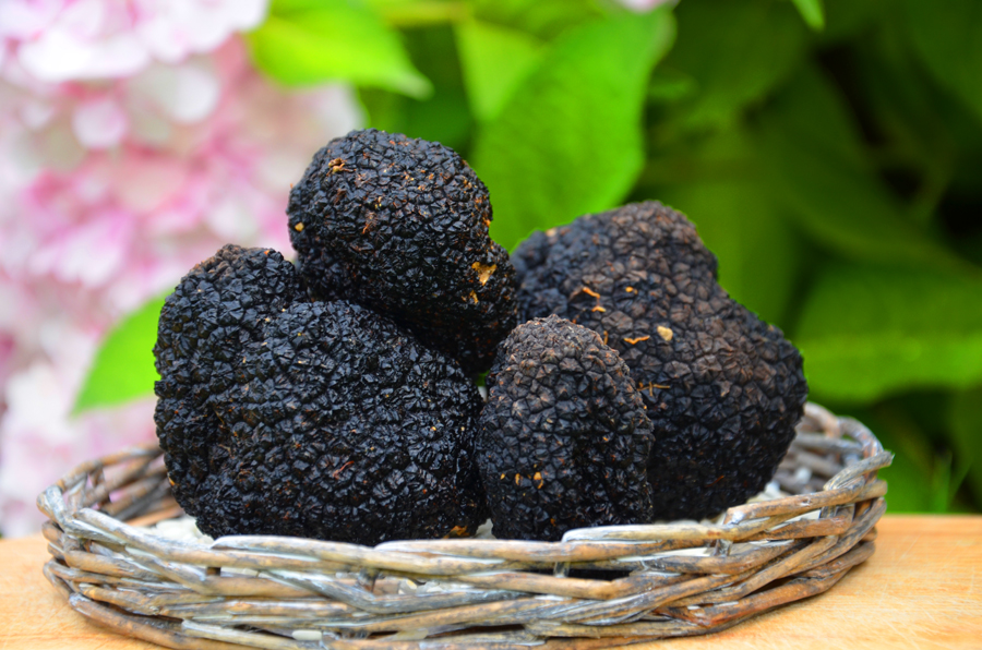 tartufo per pasta