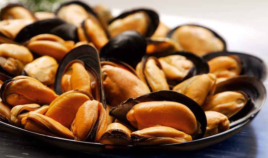 Cozze alla livornese ricetta originale