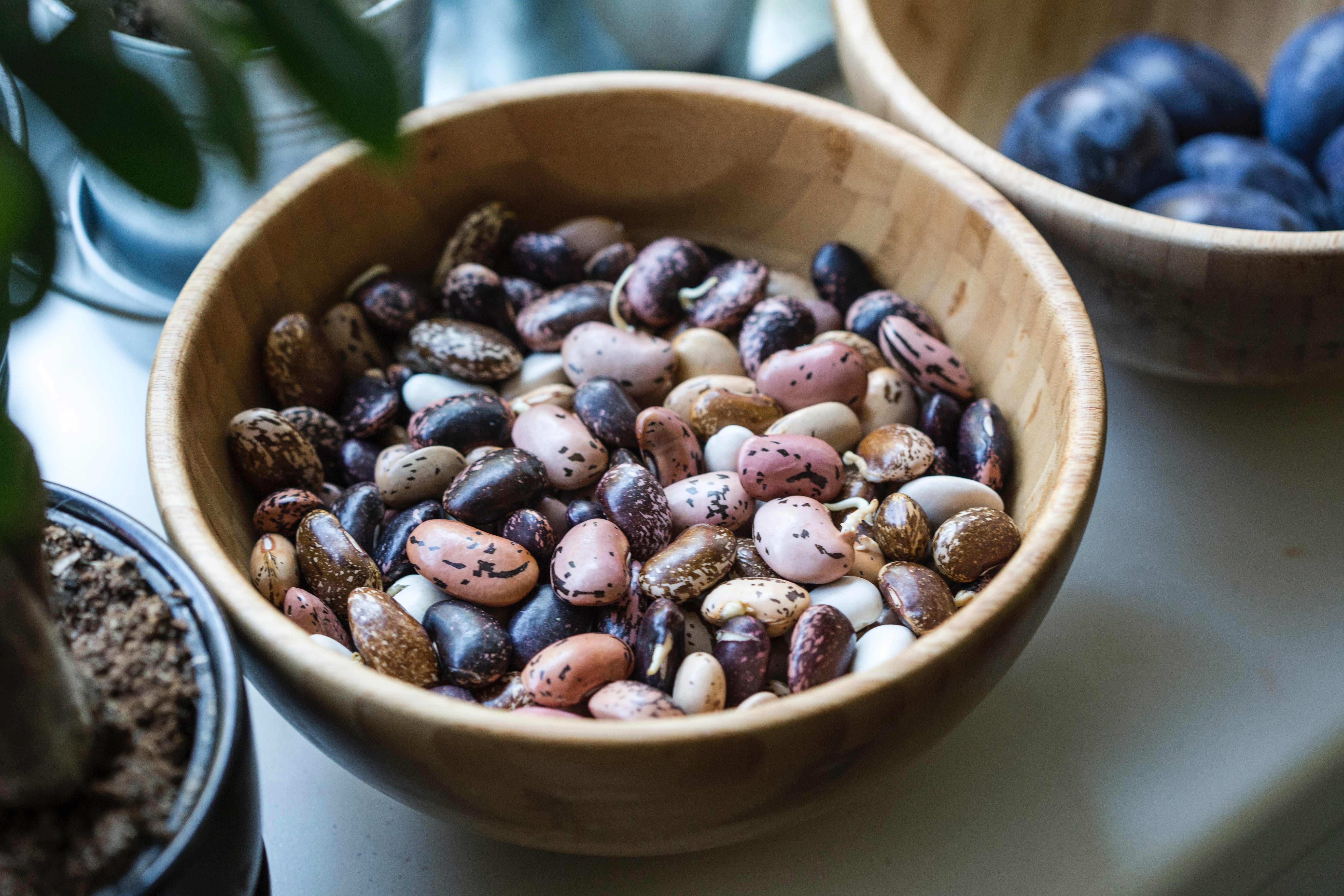 Minestra di borragine e fagioli