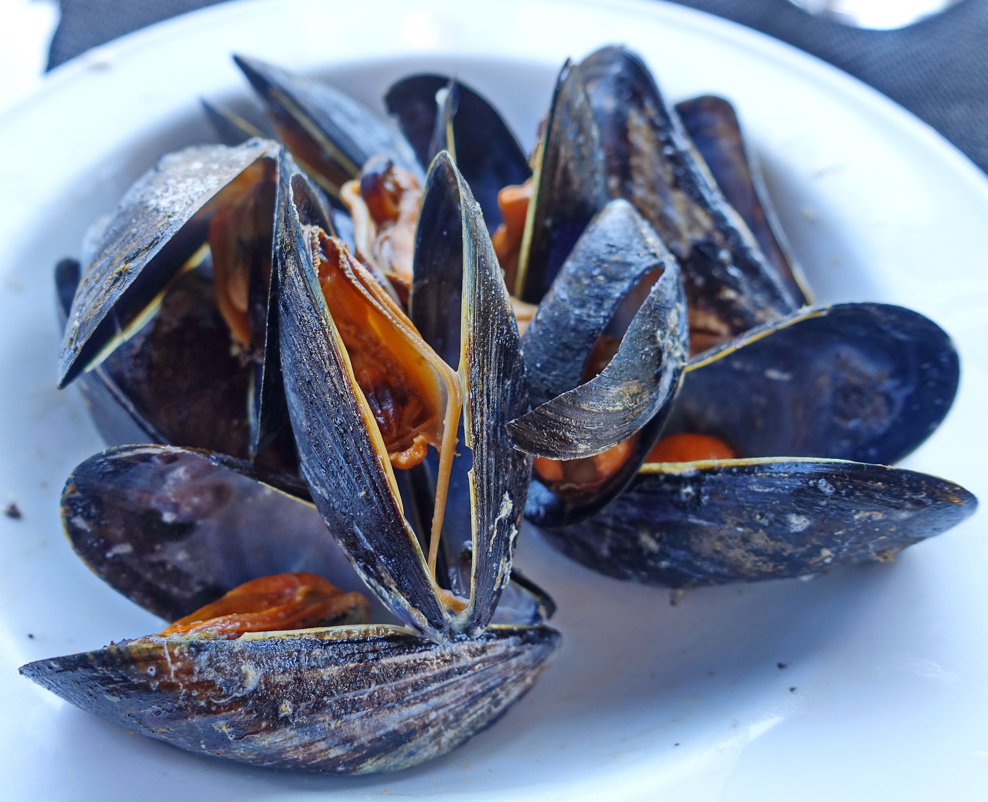 Ricetta delle cozze alla brace