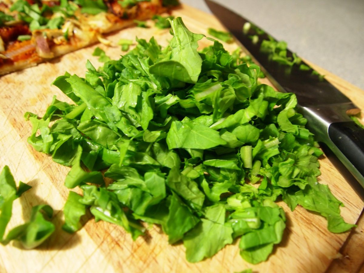 rucola