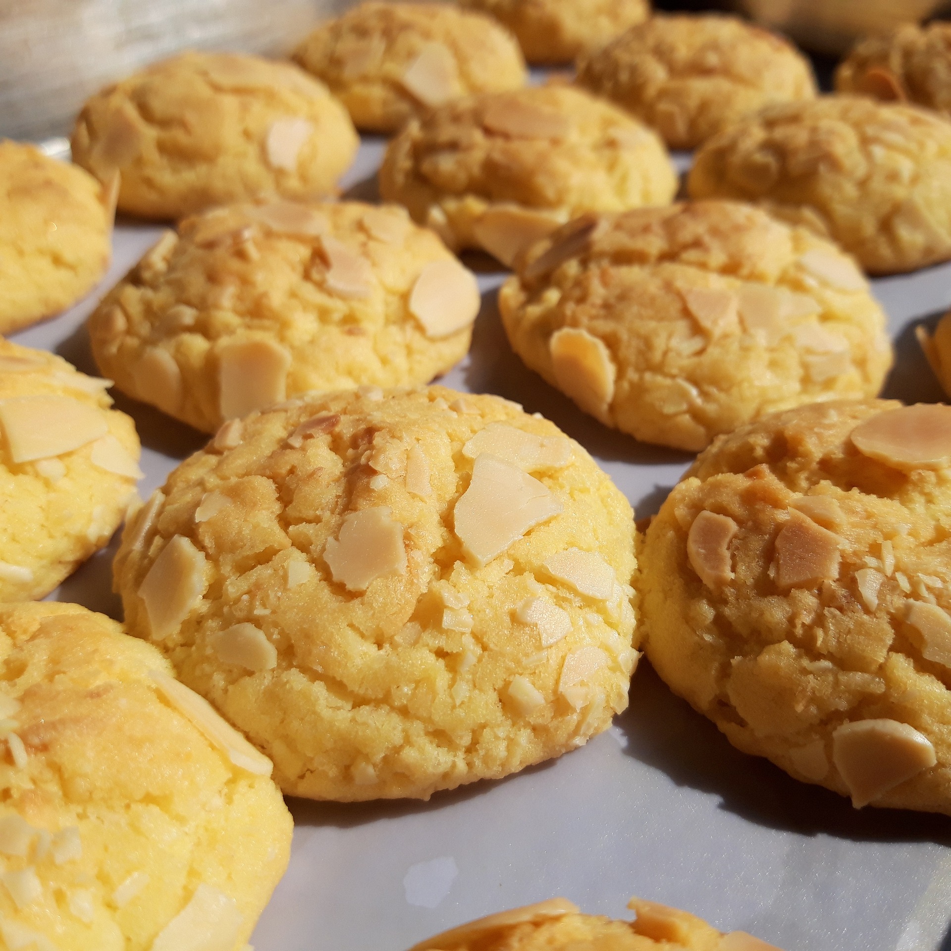 Biscotti dietetici senza glutine