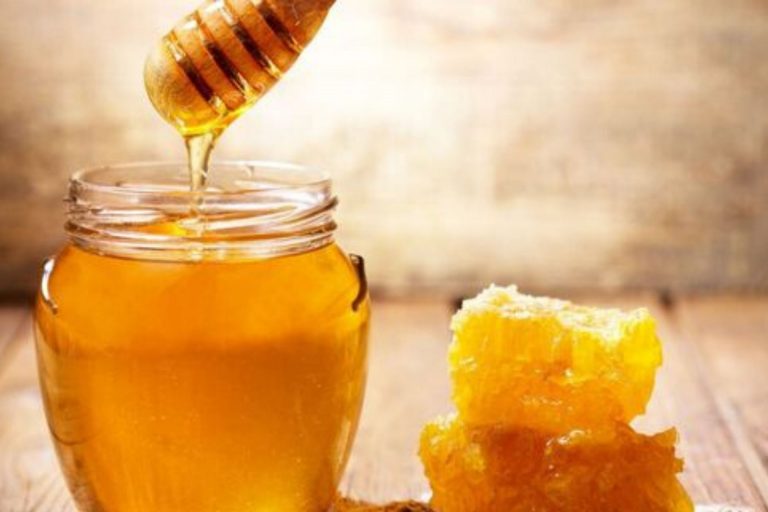 miele di melata proprieta e benefici