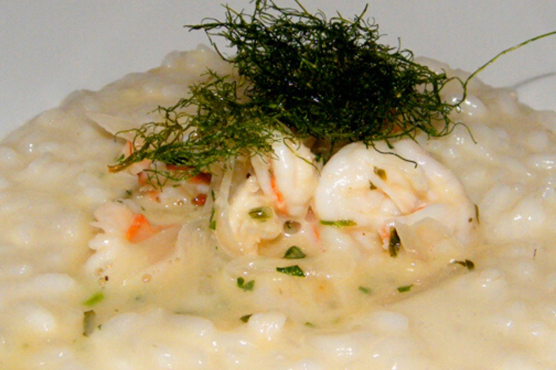 risotto champagne e scampi