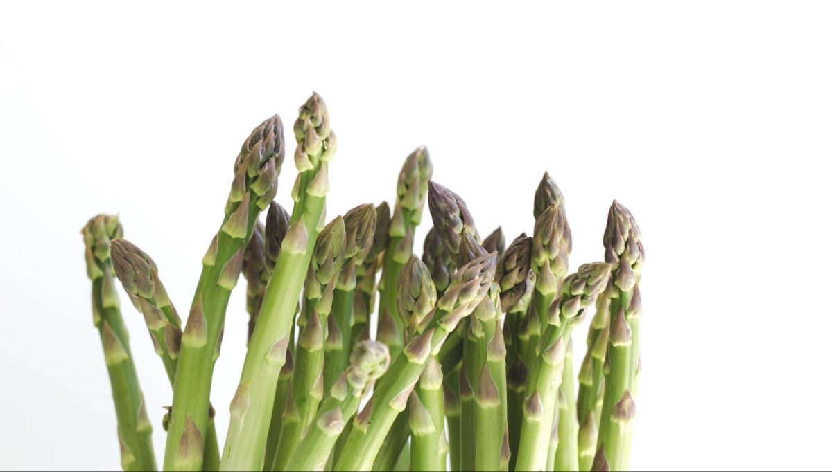 asparagi